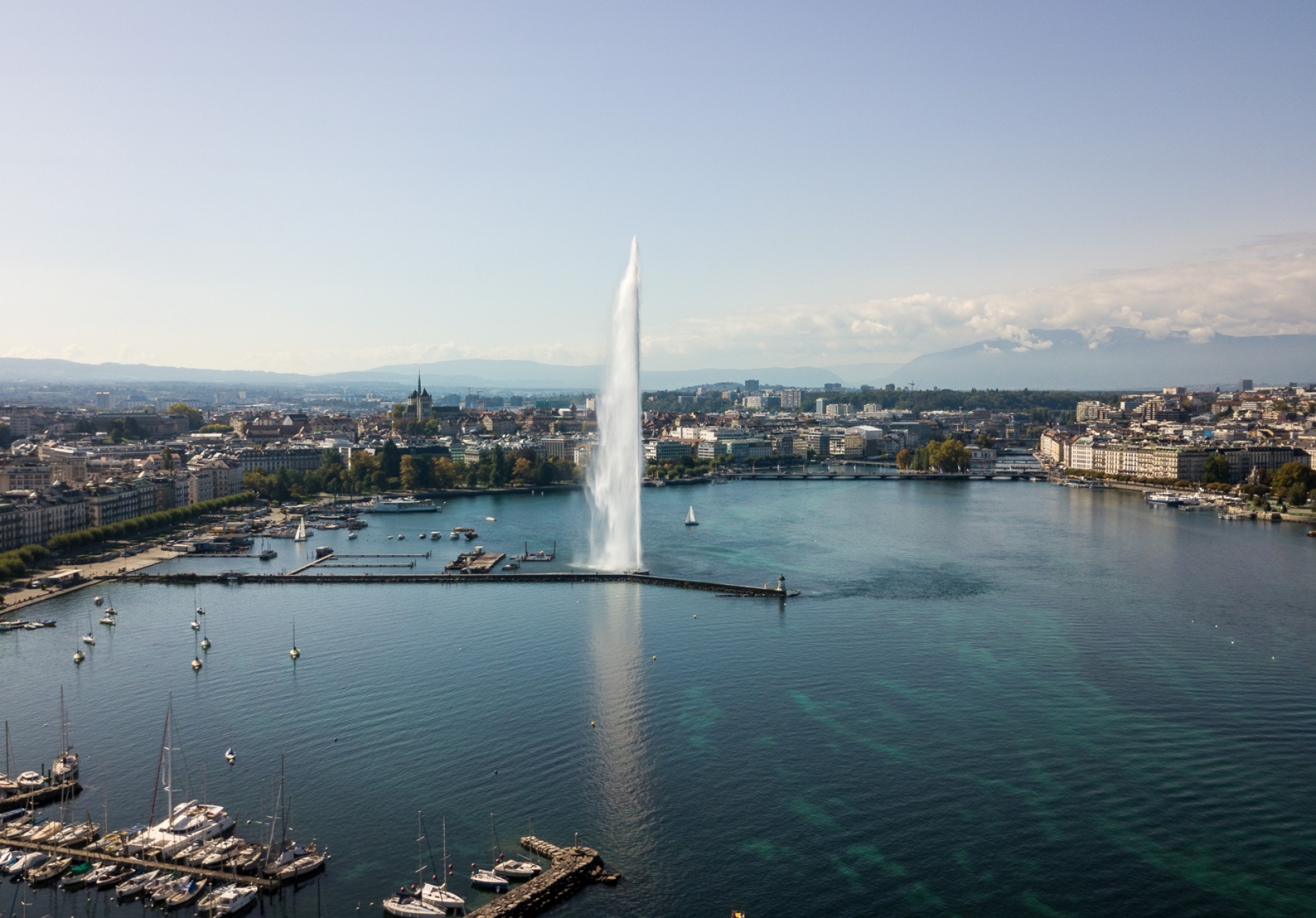 Third Party Risk Management